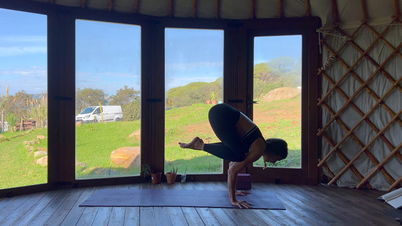 Crow posture